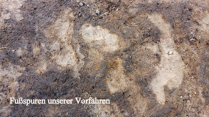 Spuren Pfaffenhofener Vorfahren - von Archäologen freigelegt