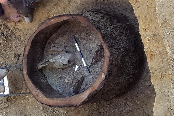 Archäologische Hinweise auf historische Brunnenvergifter?